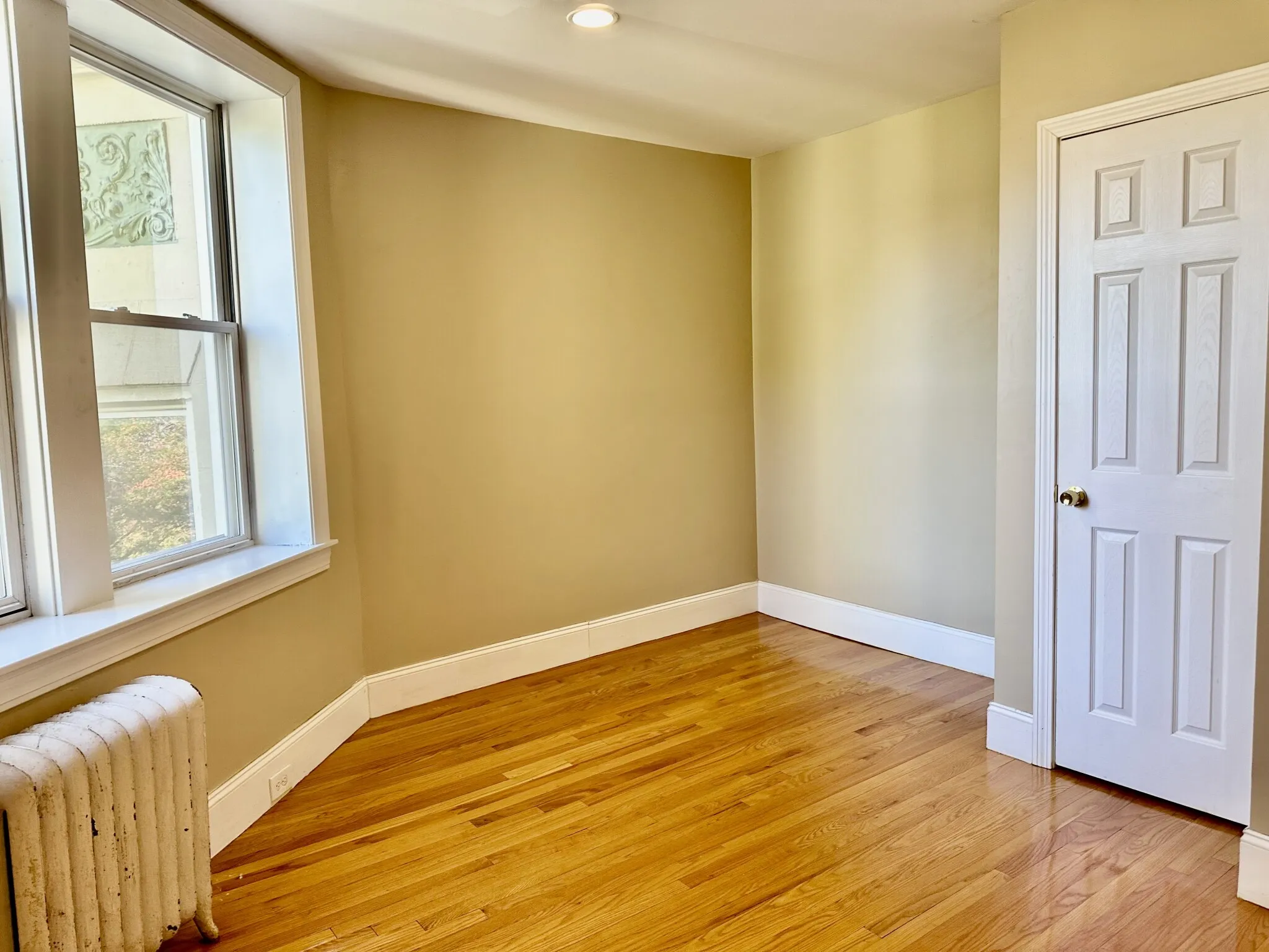 74 Egmont St, North Brookline