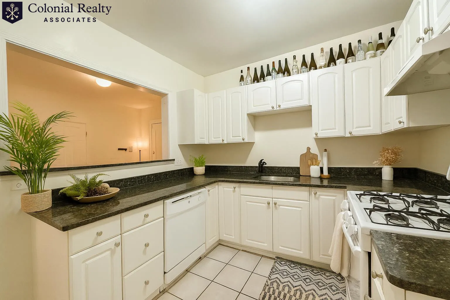 54 Egmont St, North Brookline