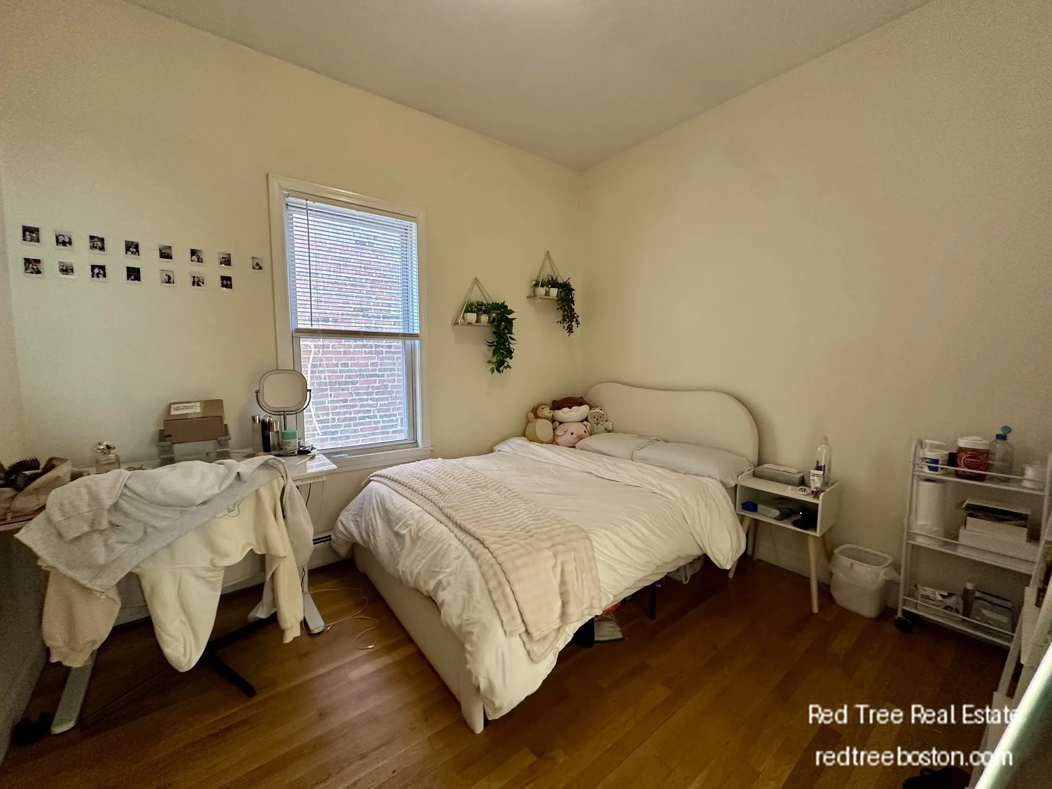 143 Hillside St, Mission Hill