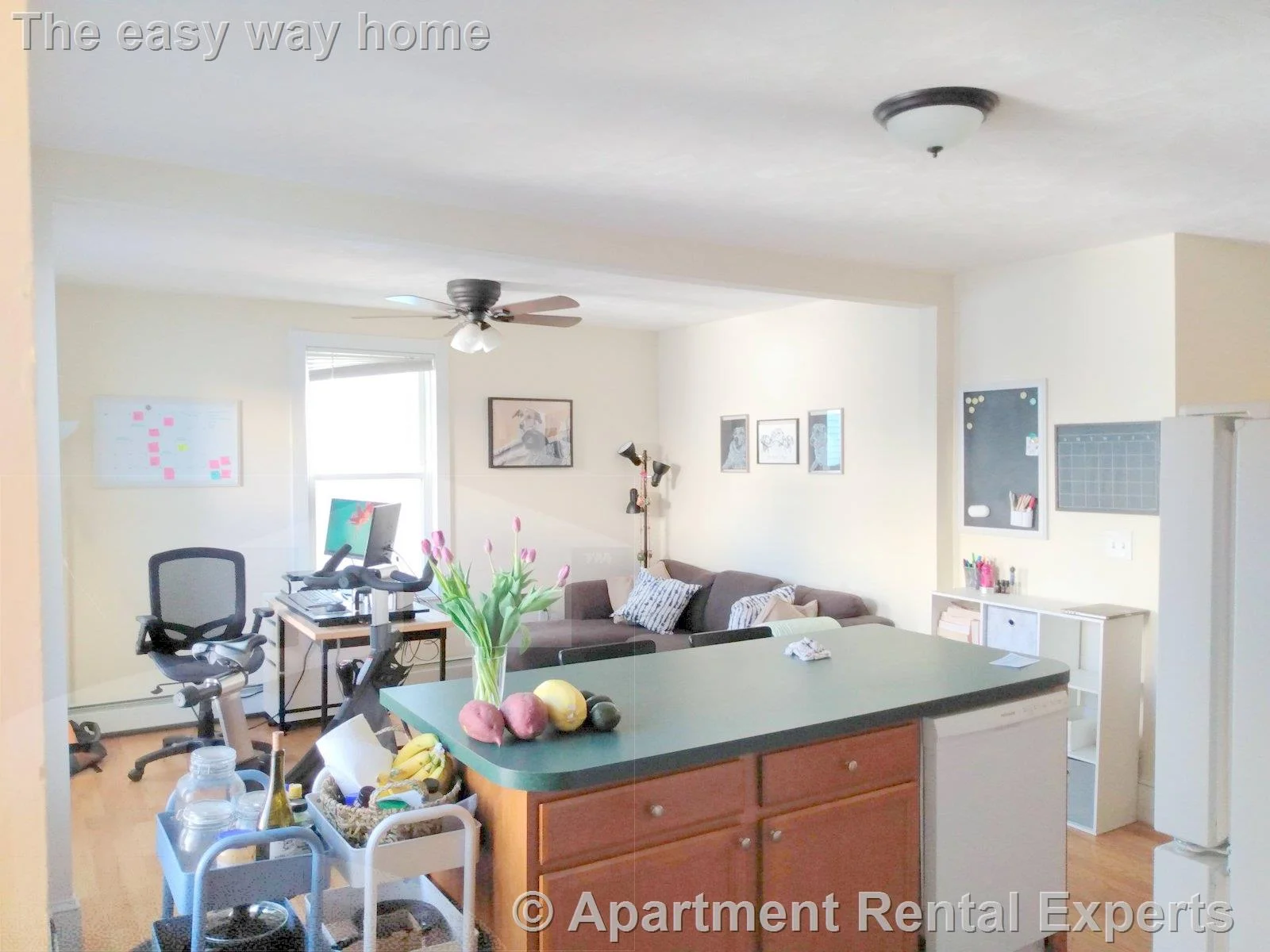 387 Columbia St, Inman Square