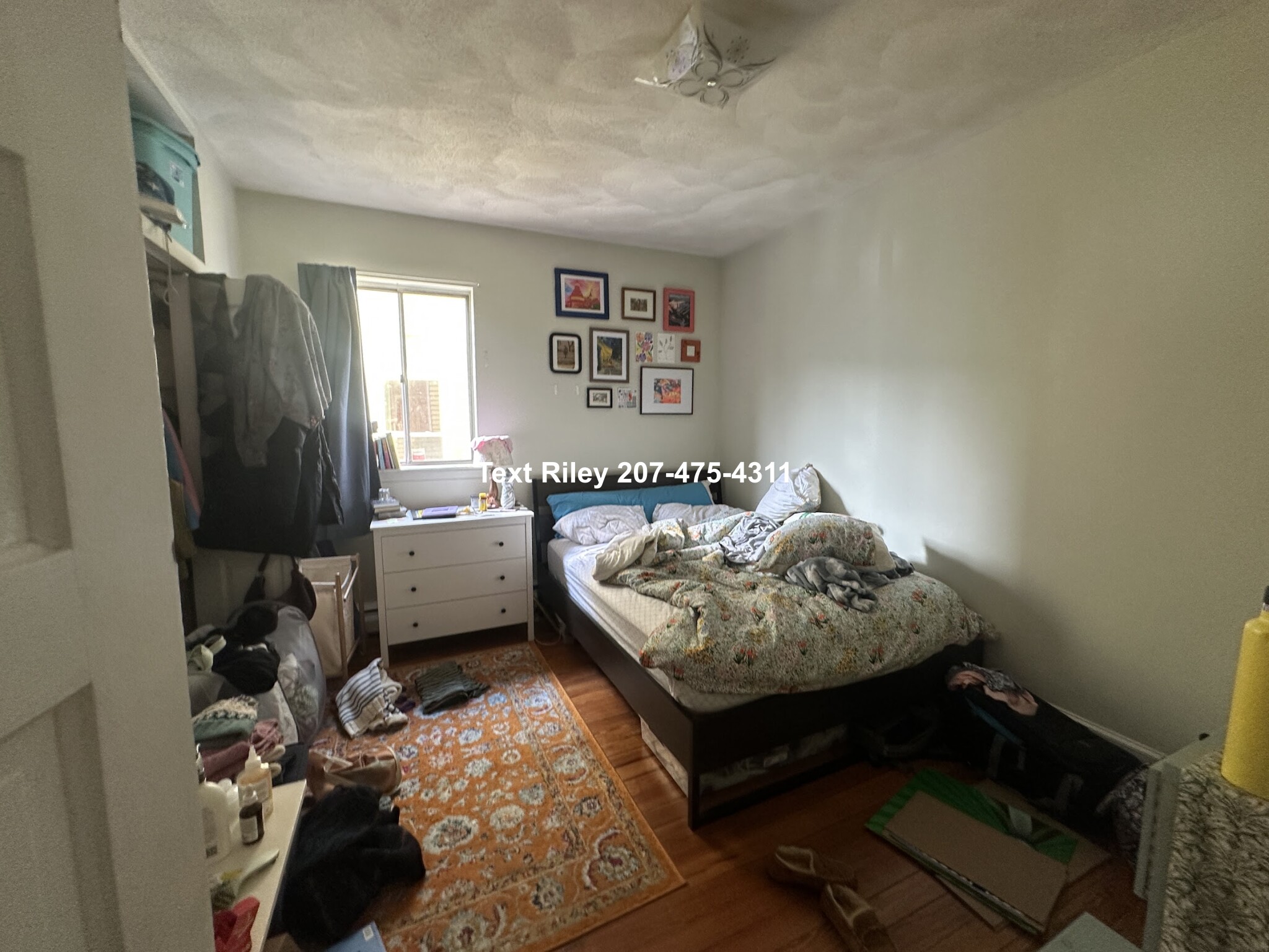 99 Marion St, Ward Two