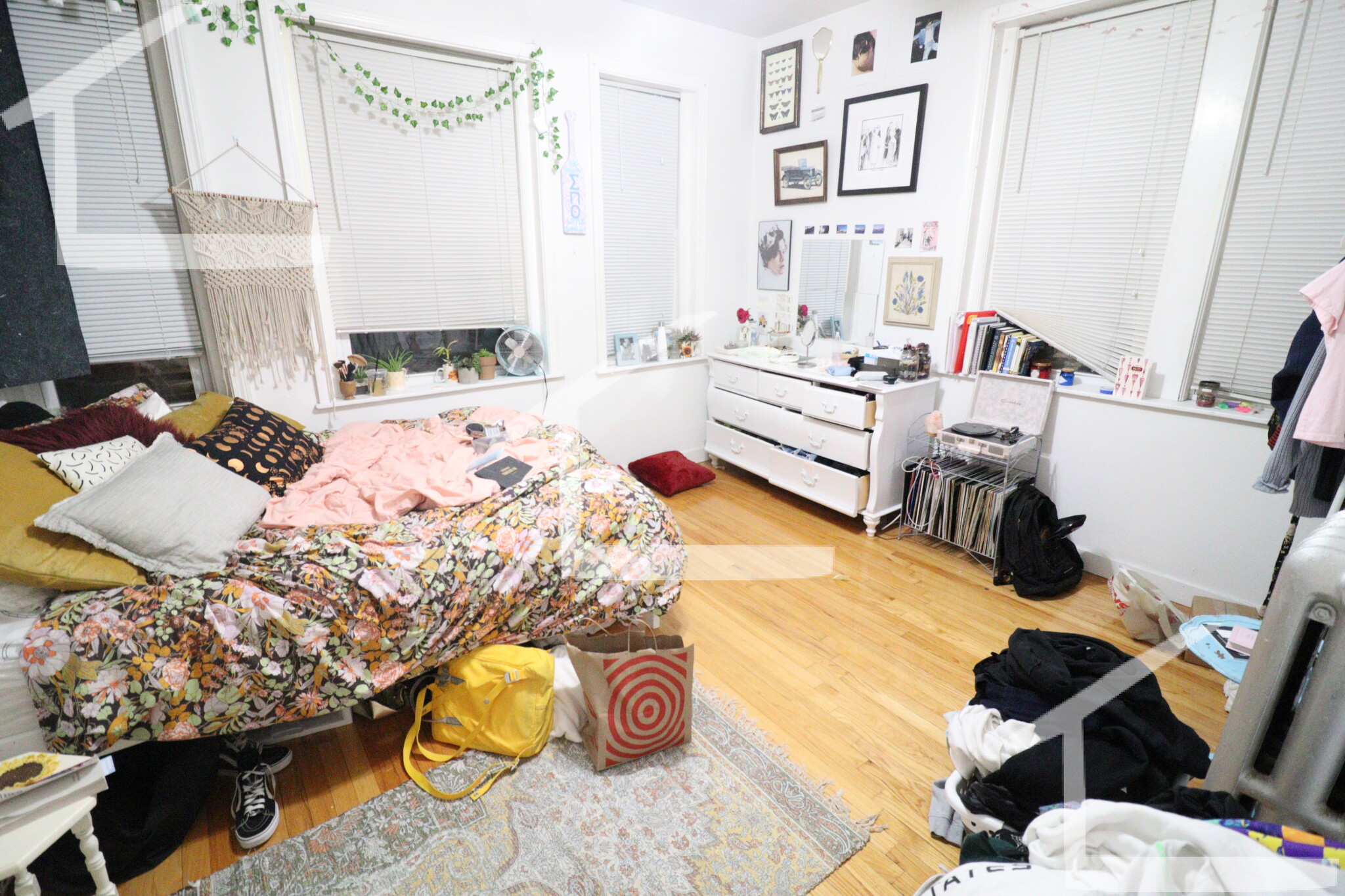 4 Price Rd, Brighton