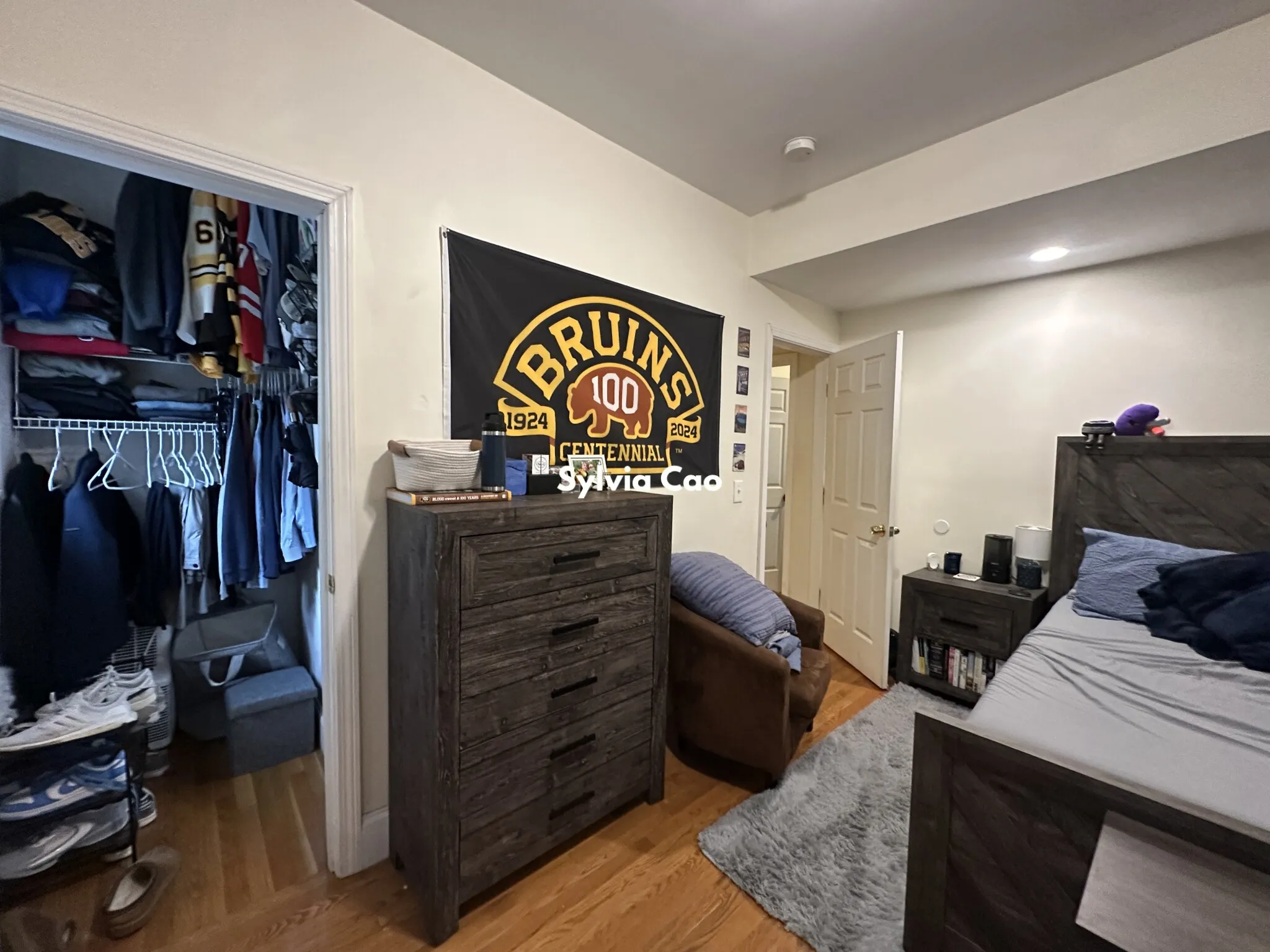 56 Egmont St, North Brookline