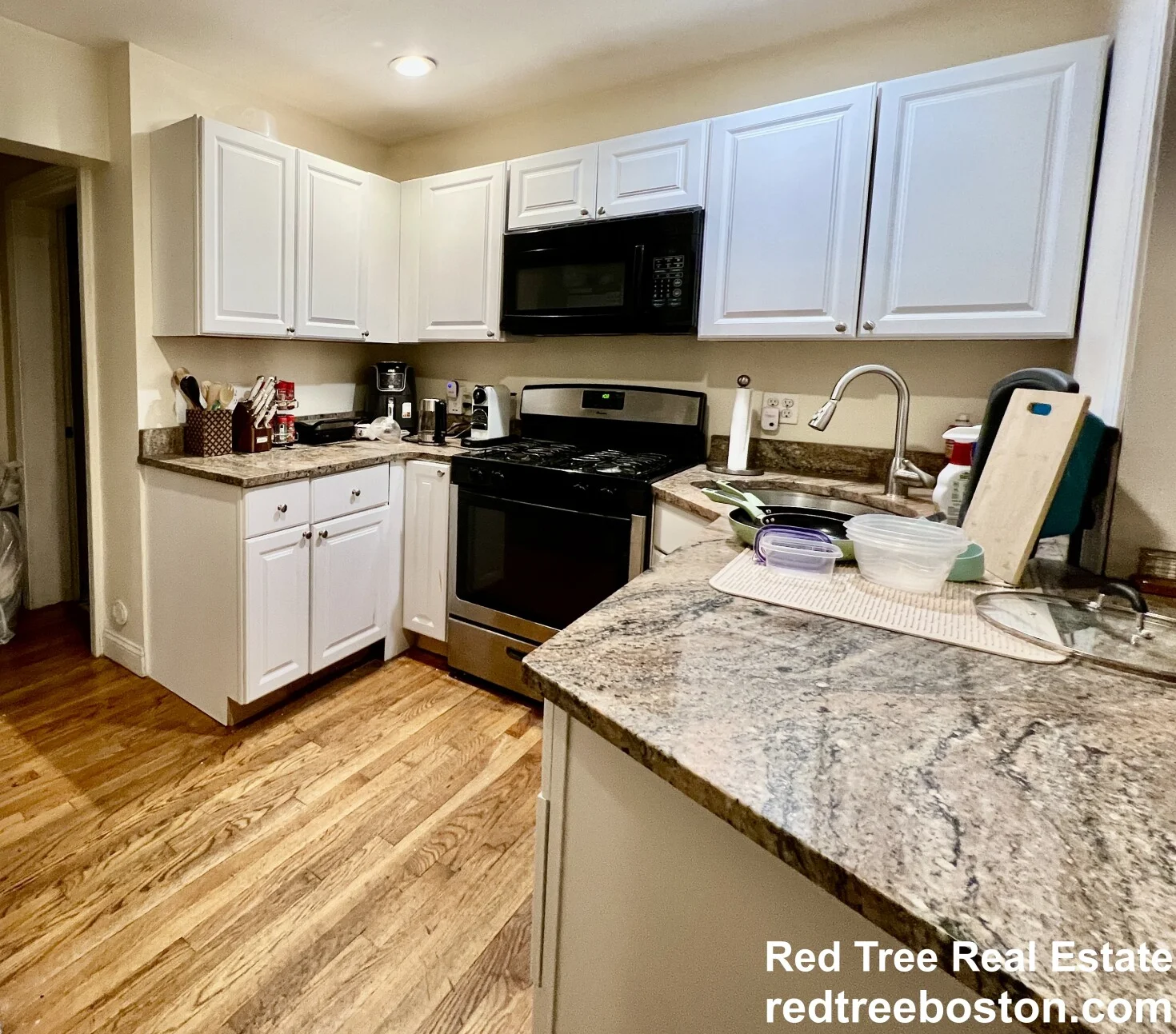 62 Egmont St, North Brookline