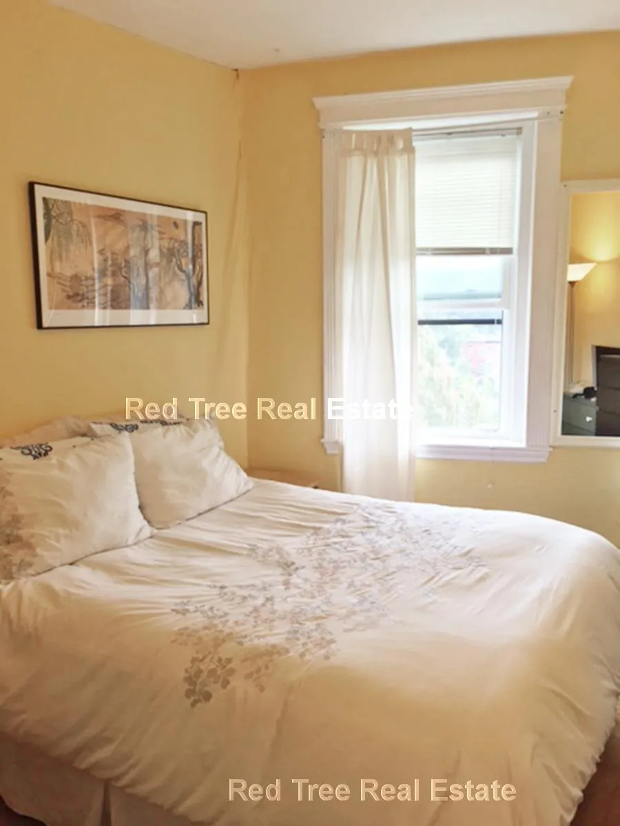 31 Orkney Rd, Brighton