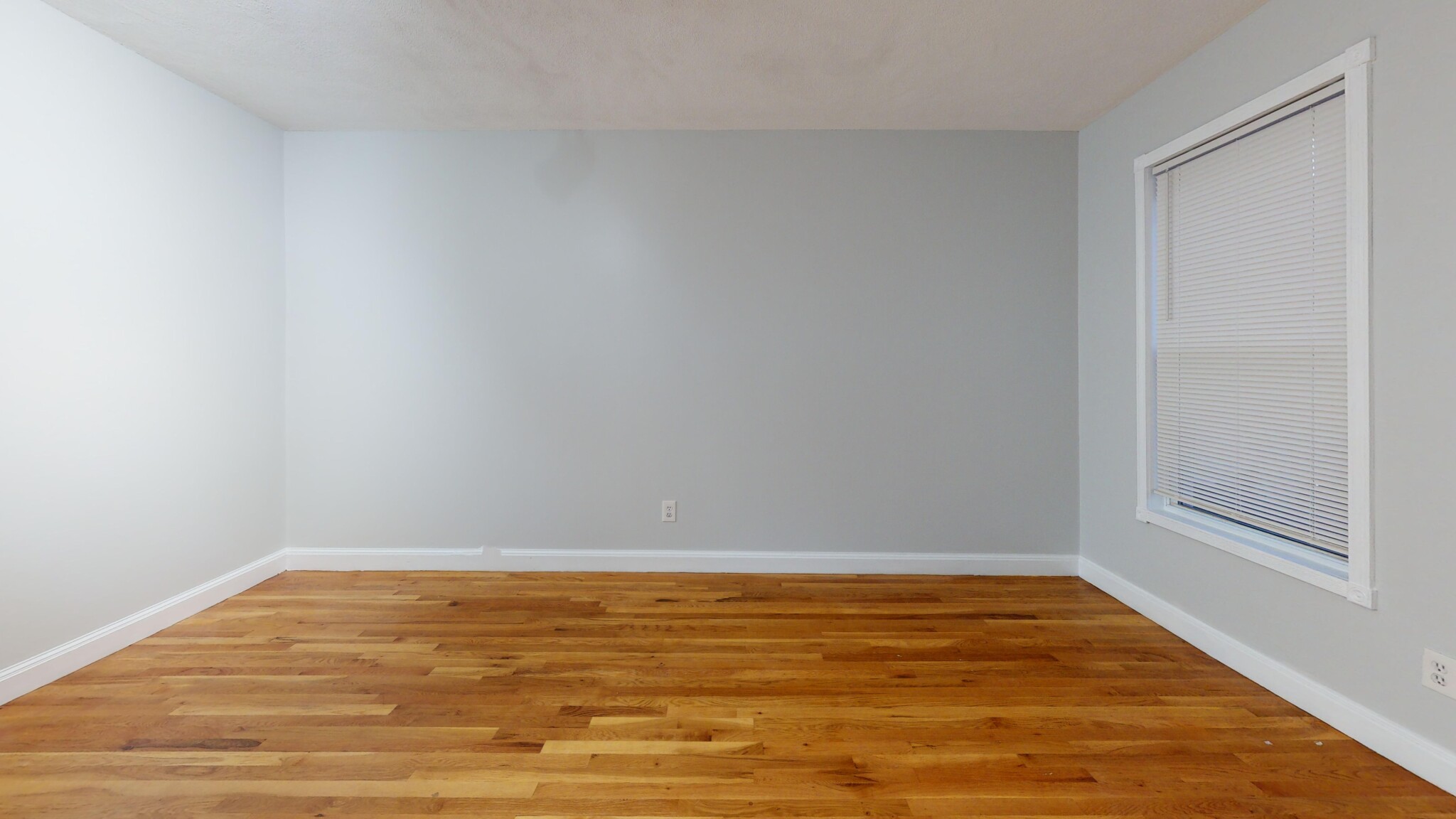 5 Stafford St, Roxbury