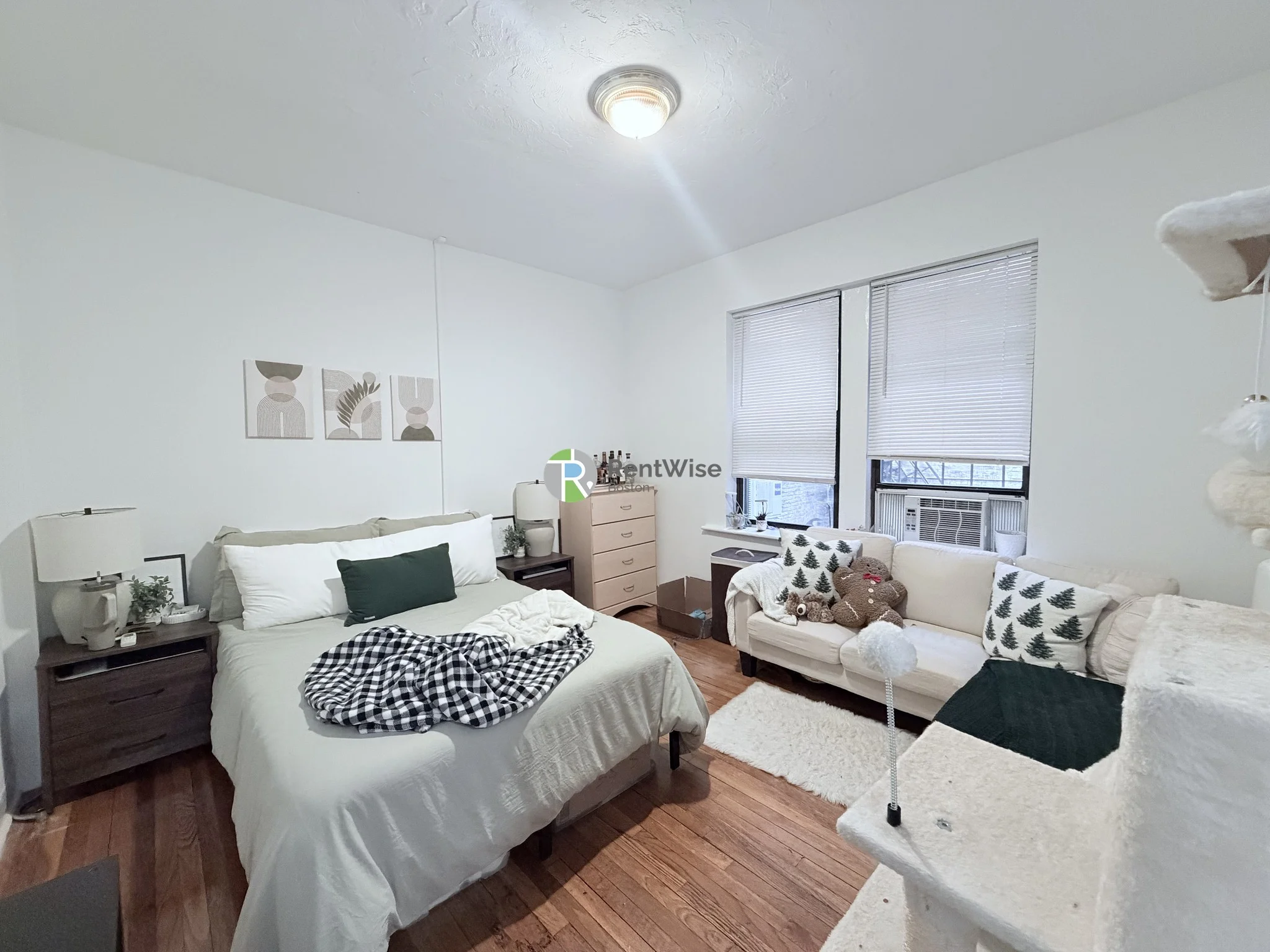 19 Peterborough St, Fenway