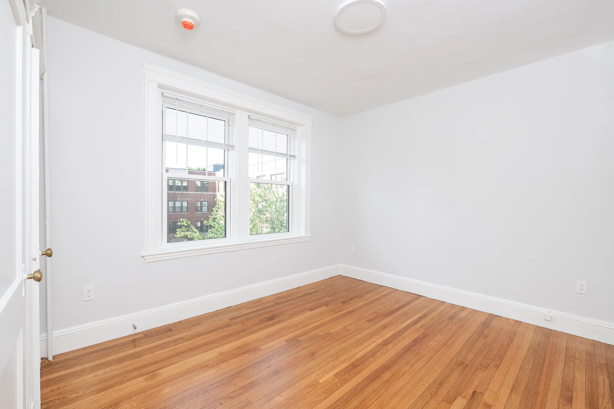 19 Forest St, Baldwin