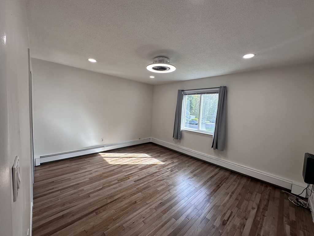 41 Will, Canton Junction