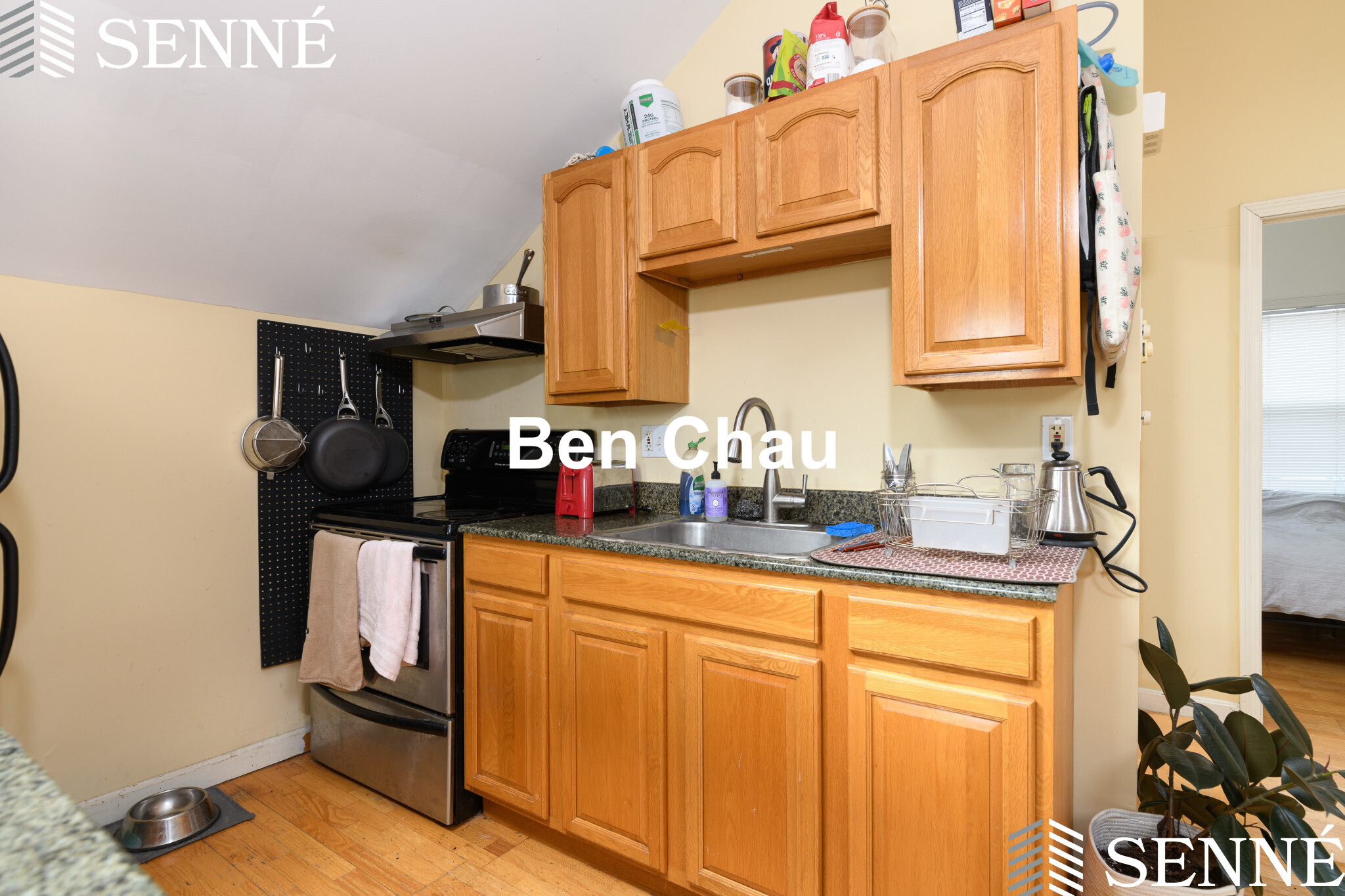 352 Norfolk St, Wellington-Harrington