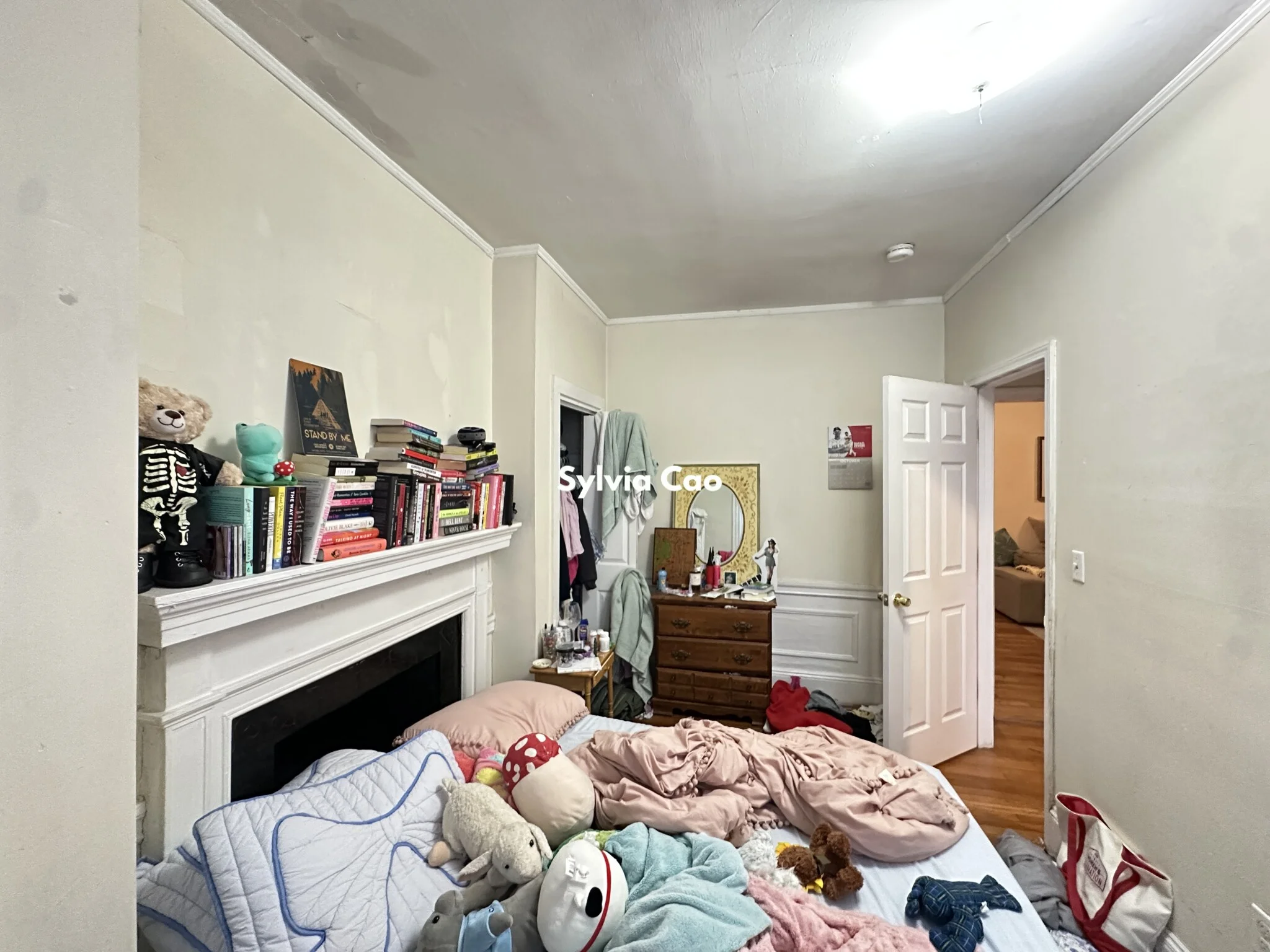 56 Egmont St, North Brookline