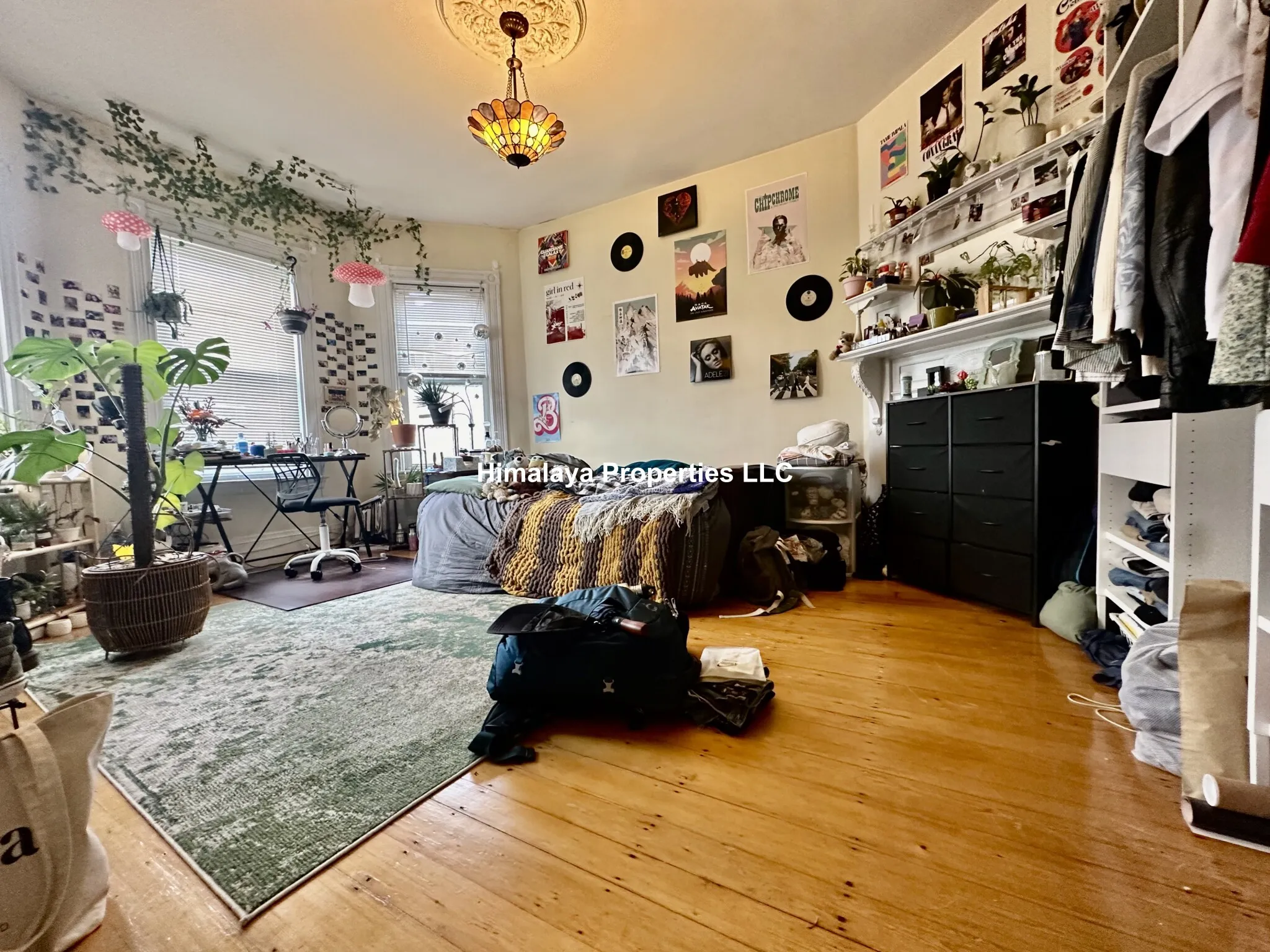 5 Sachem St, Mission Hill