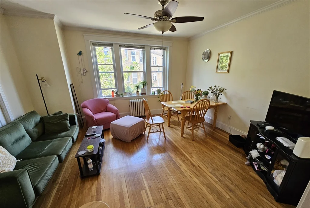 229 Freeman St, Coolidge Corner