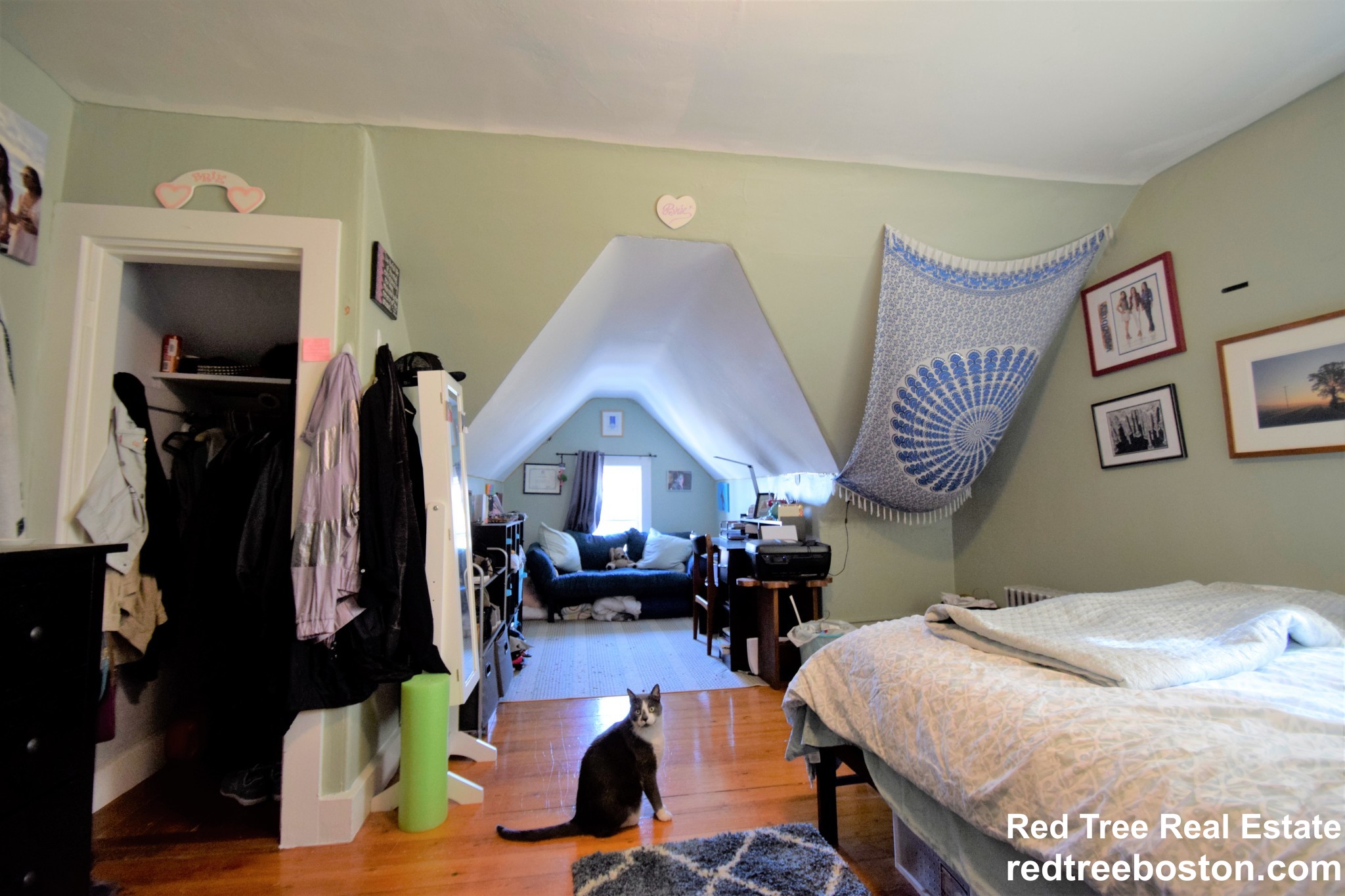 3 Foster St, Brighton