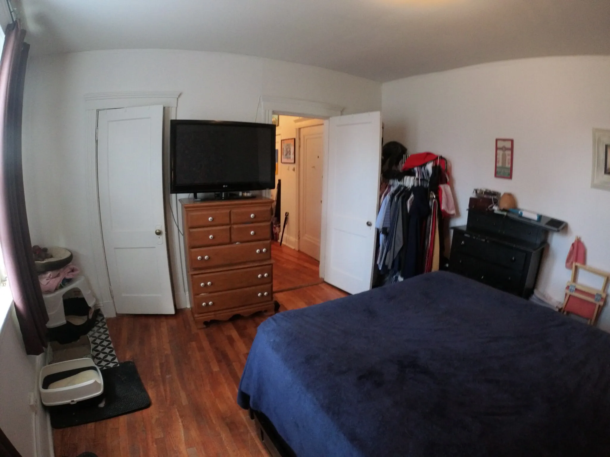 1450 Commonwealth Ave, Brighton