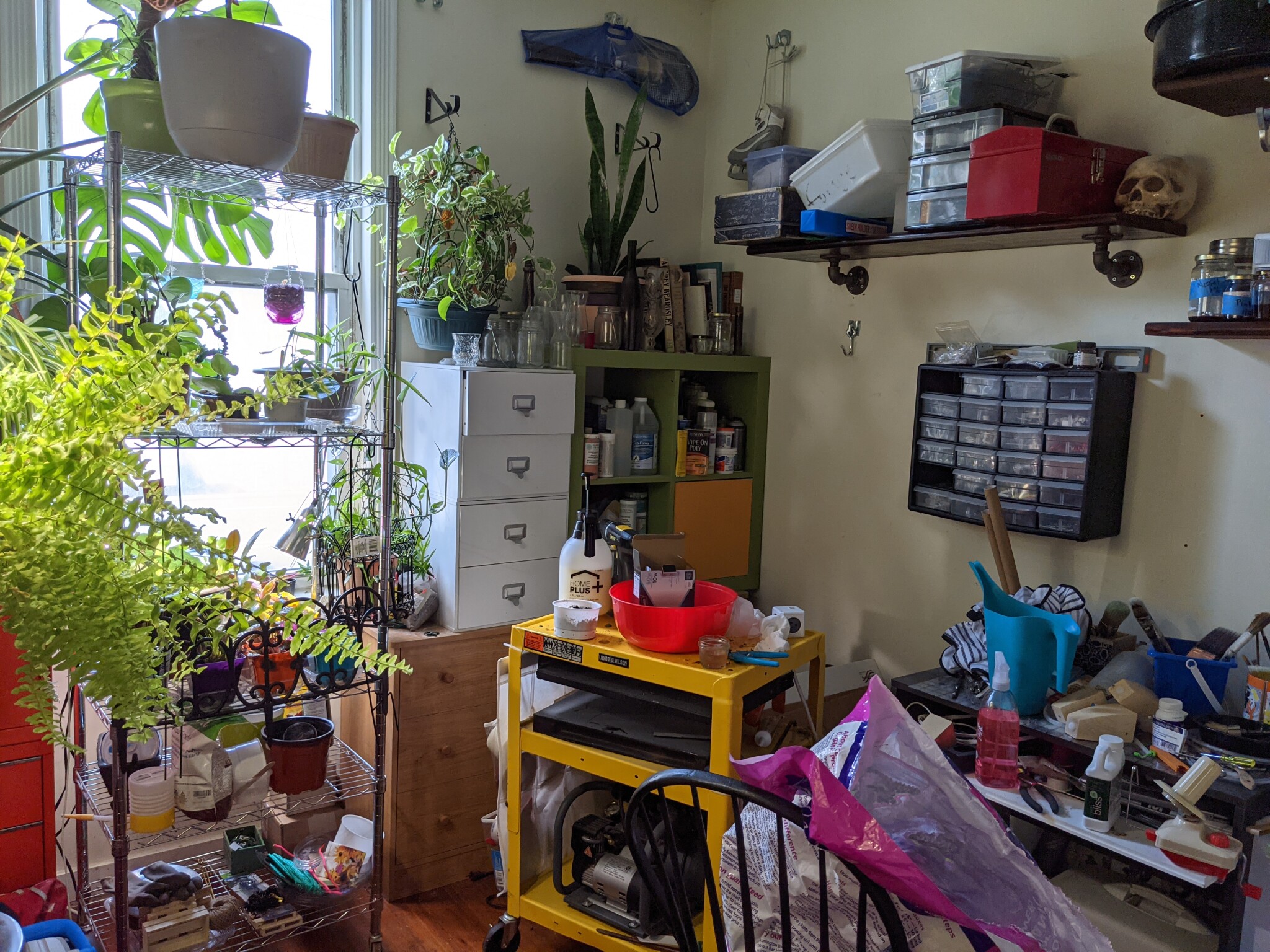 27 Park St, Ward Two