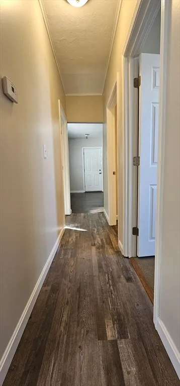 20 Park Ave, Webster