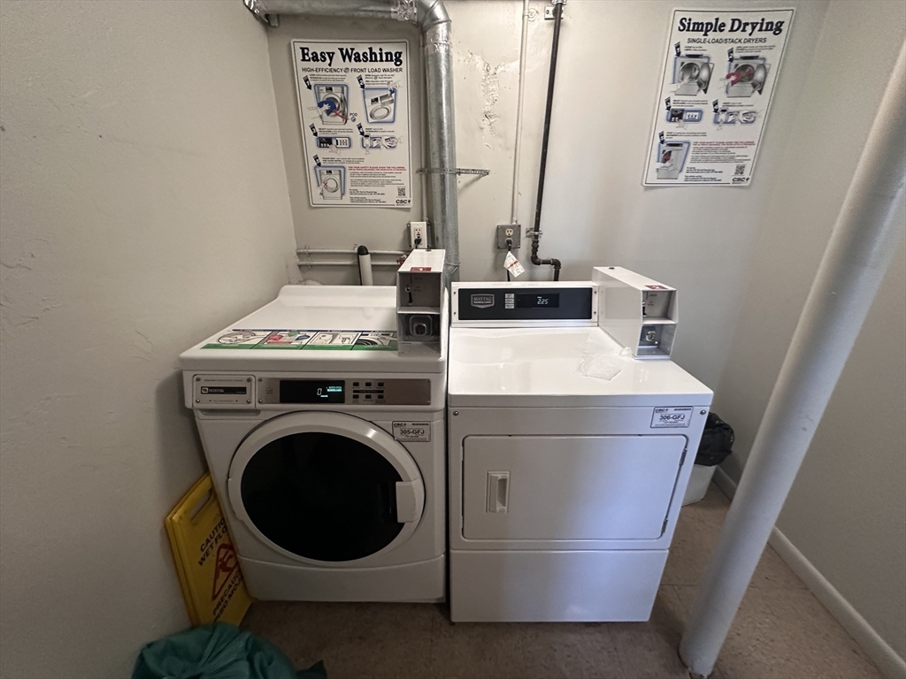 41 Will, Canton Junction