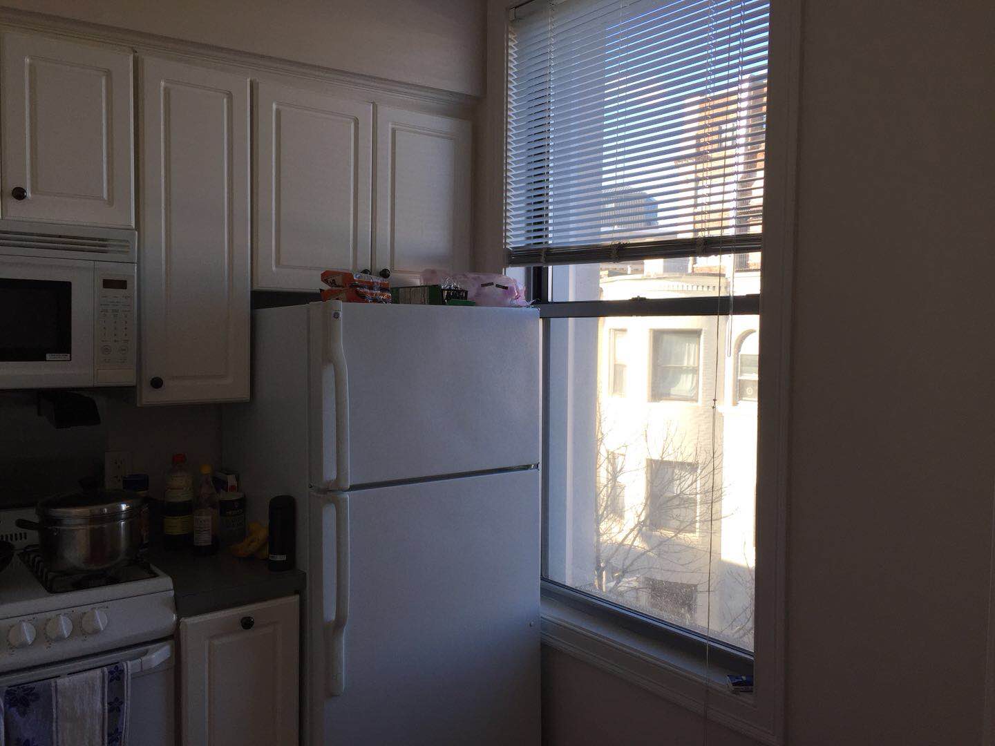 18 Haviland St, Fenway