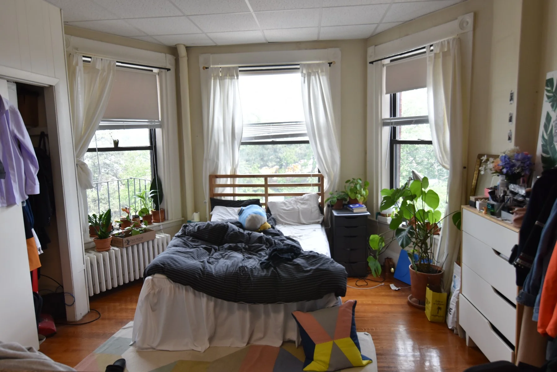 15 Bay State Rd, Fenway
