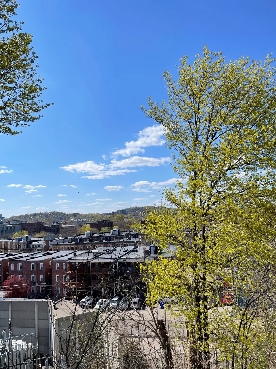 16 Copenger St, Mission Hill