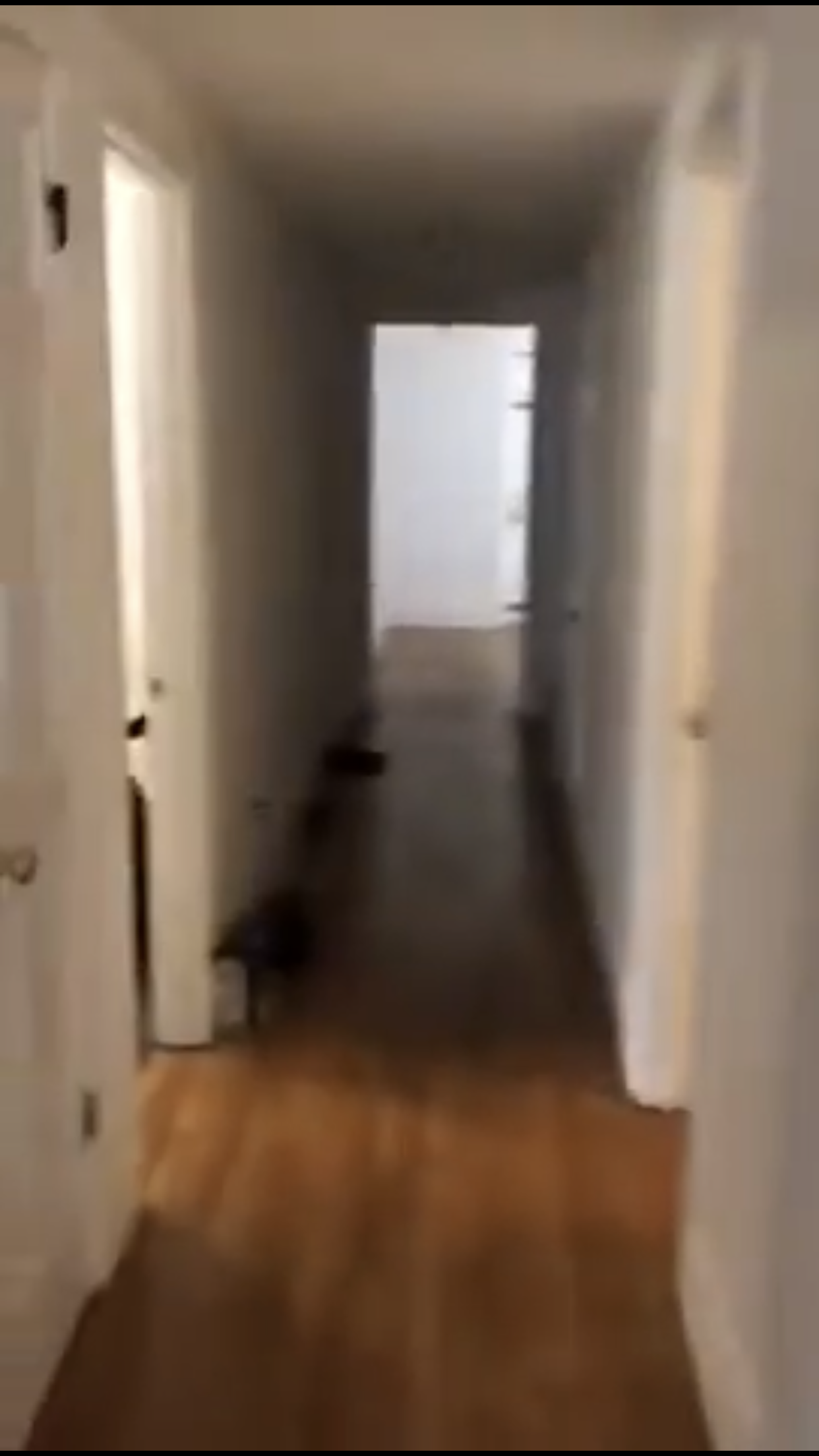 878 Huntington Ave, Mission Hill