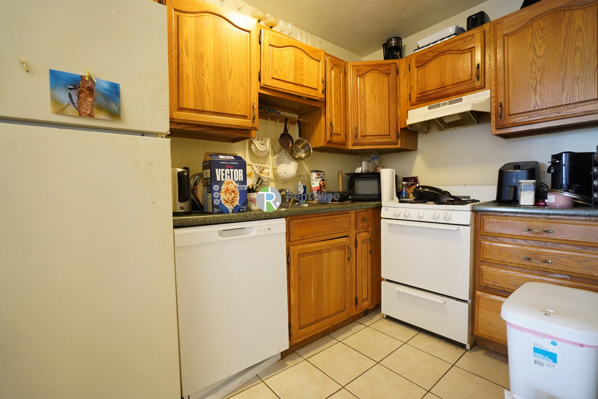 12 Lorraine Ter, Allston