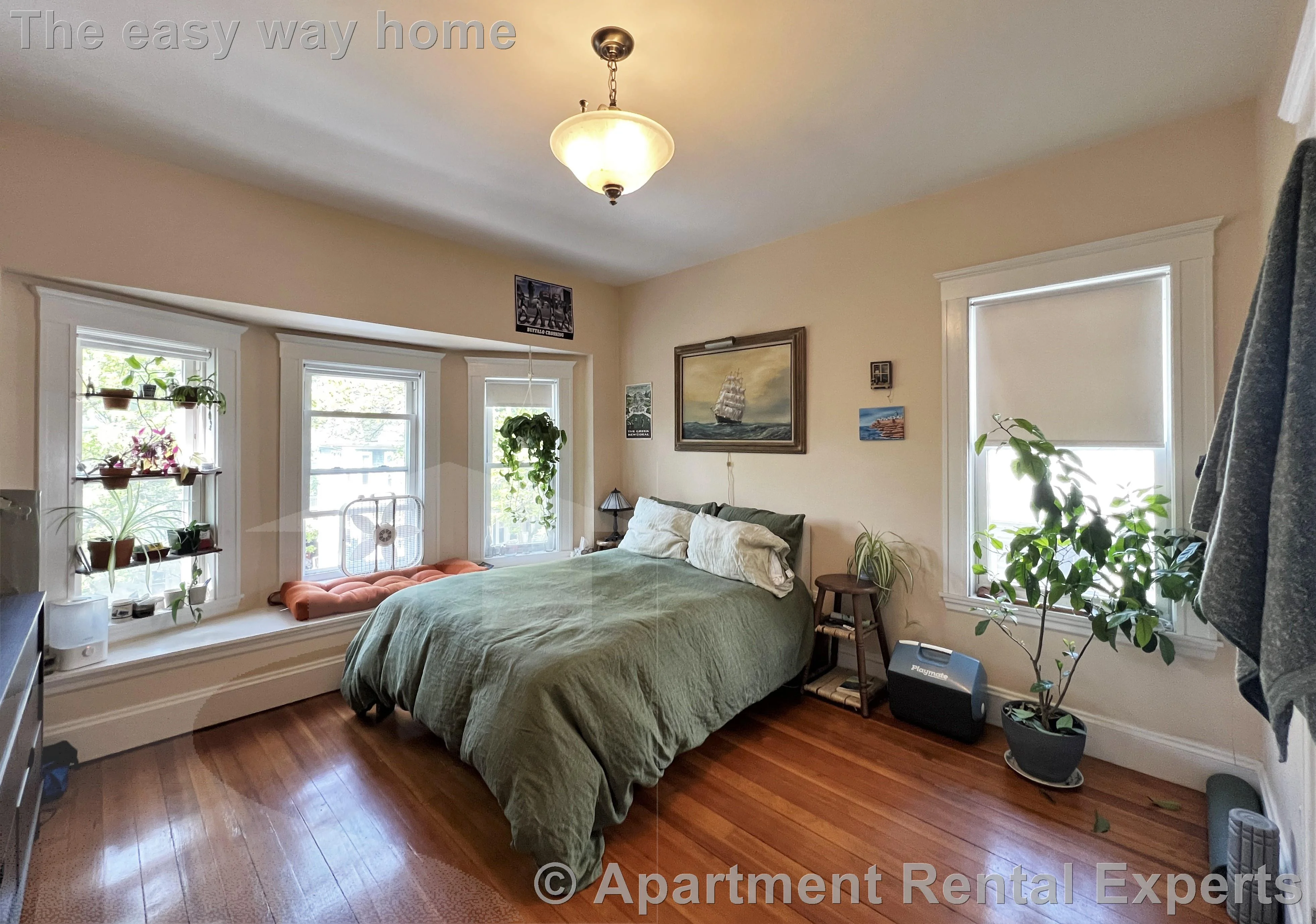 9 Whitfield Rd, Davis Square