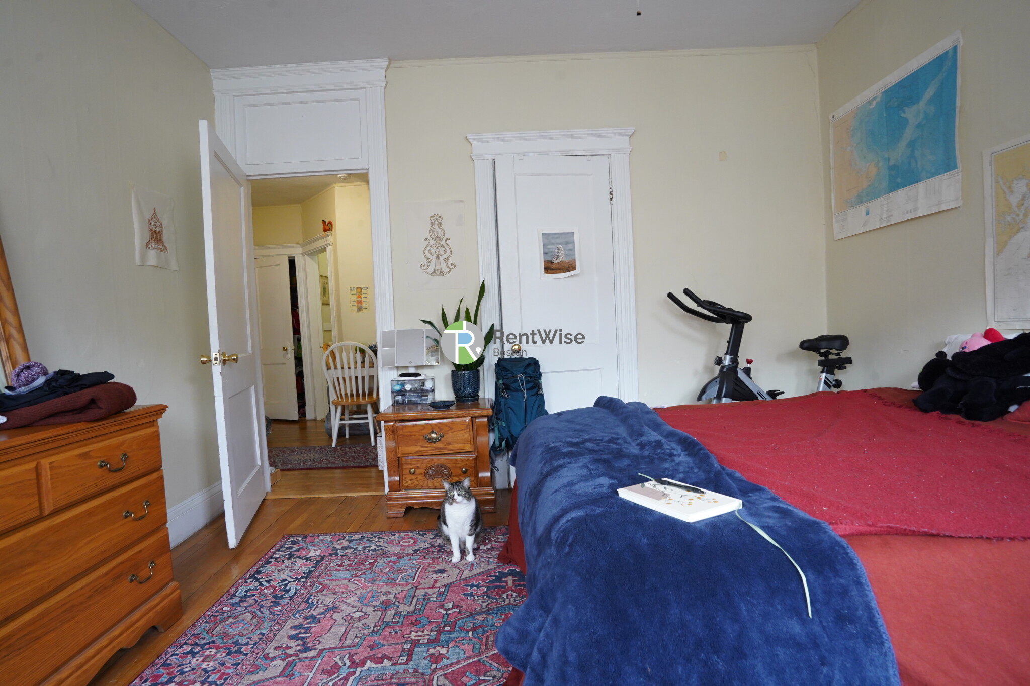 95 Gordon St, Brighton