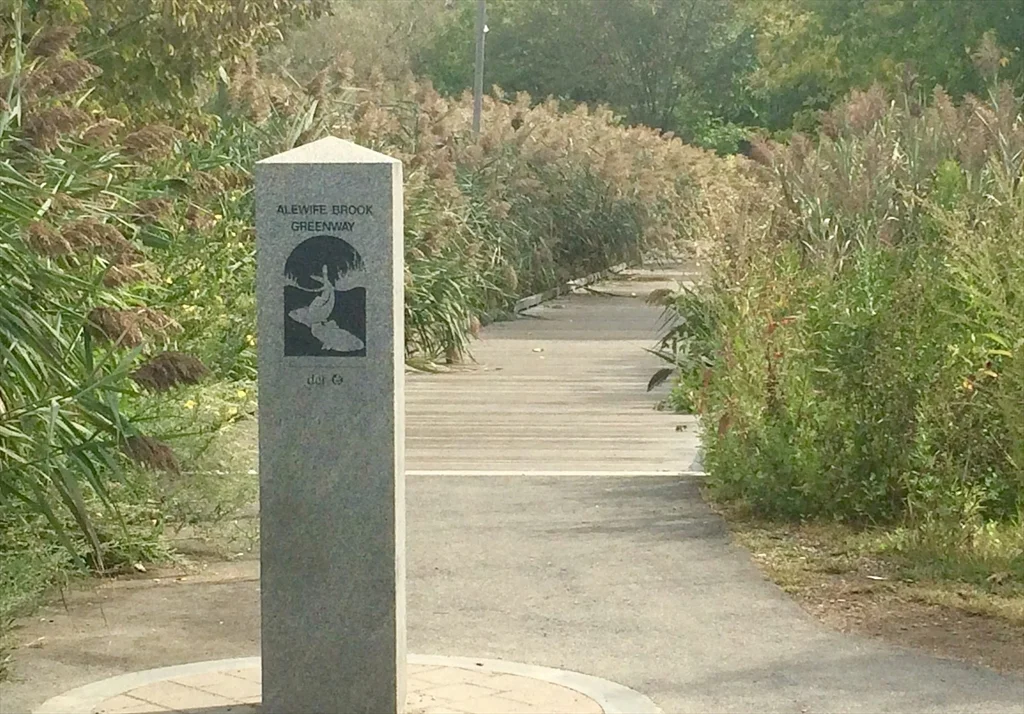 86 Fairmont St, East Arlington