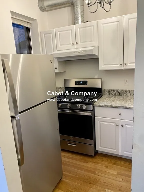 225 East Berkeley St, Roxbury