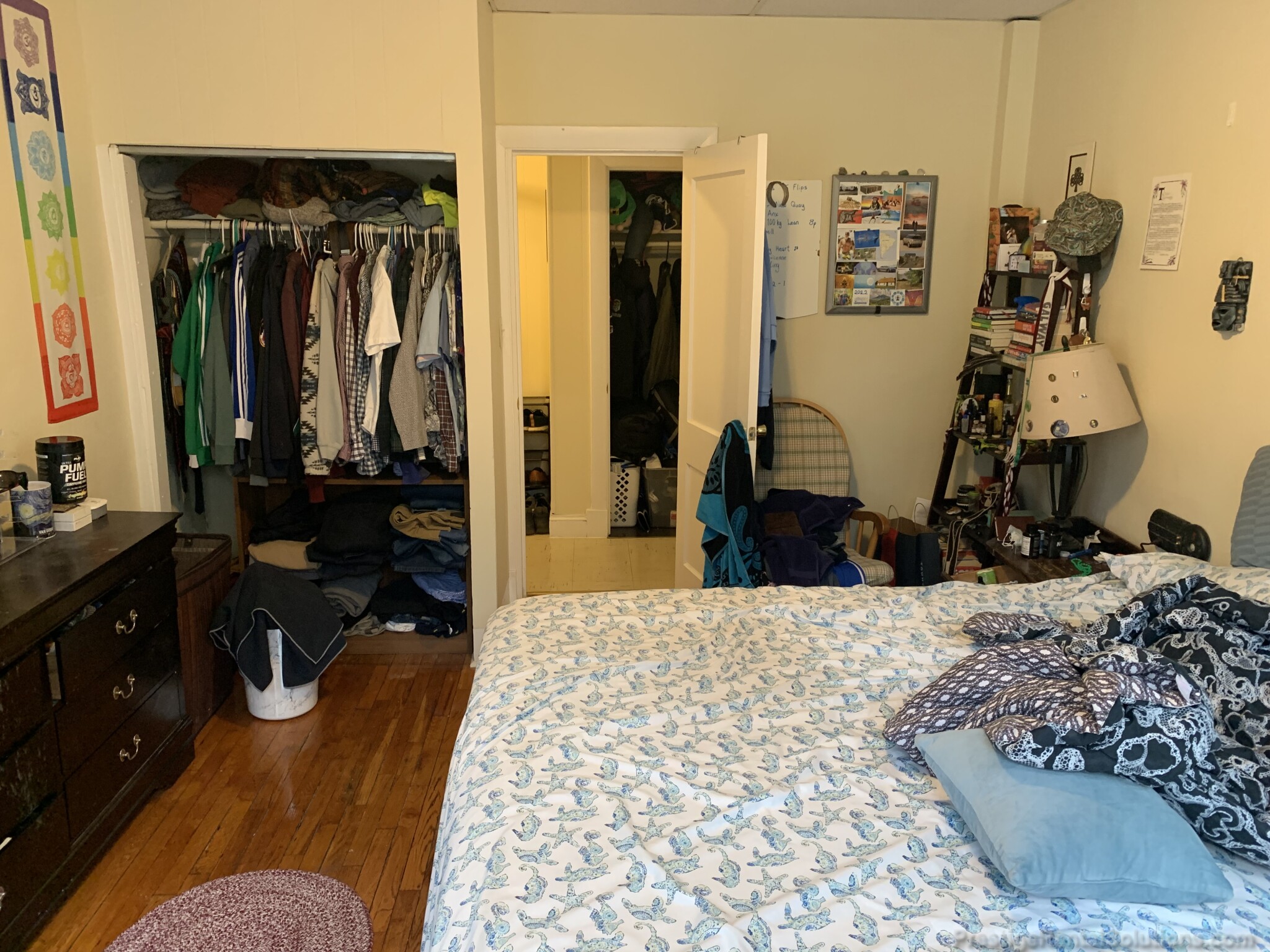 217 Kelton St, Brighton