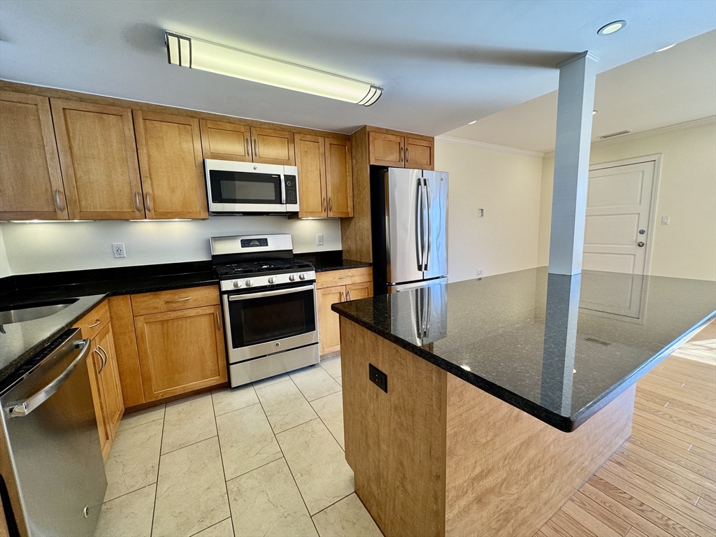 146 Independence Dr, Chestnut Hill