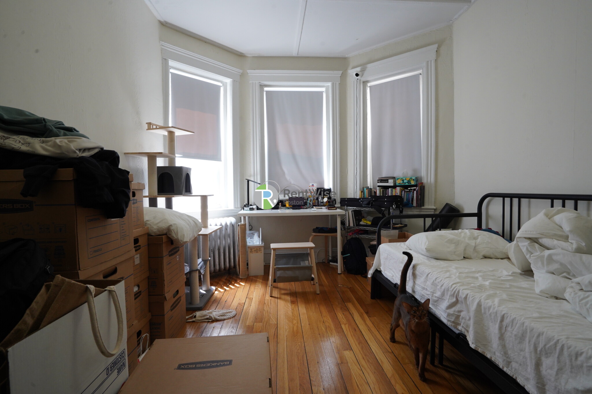 1185 Boylston St, Fenway