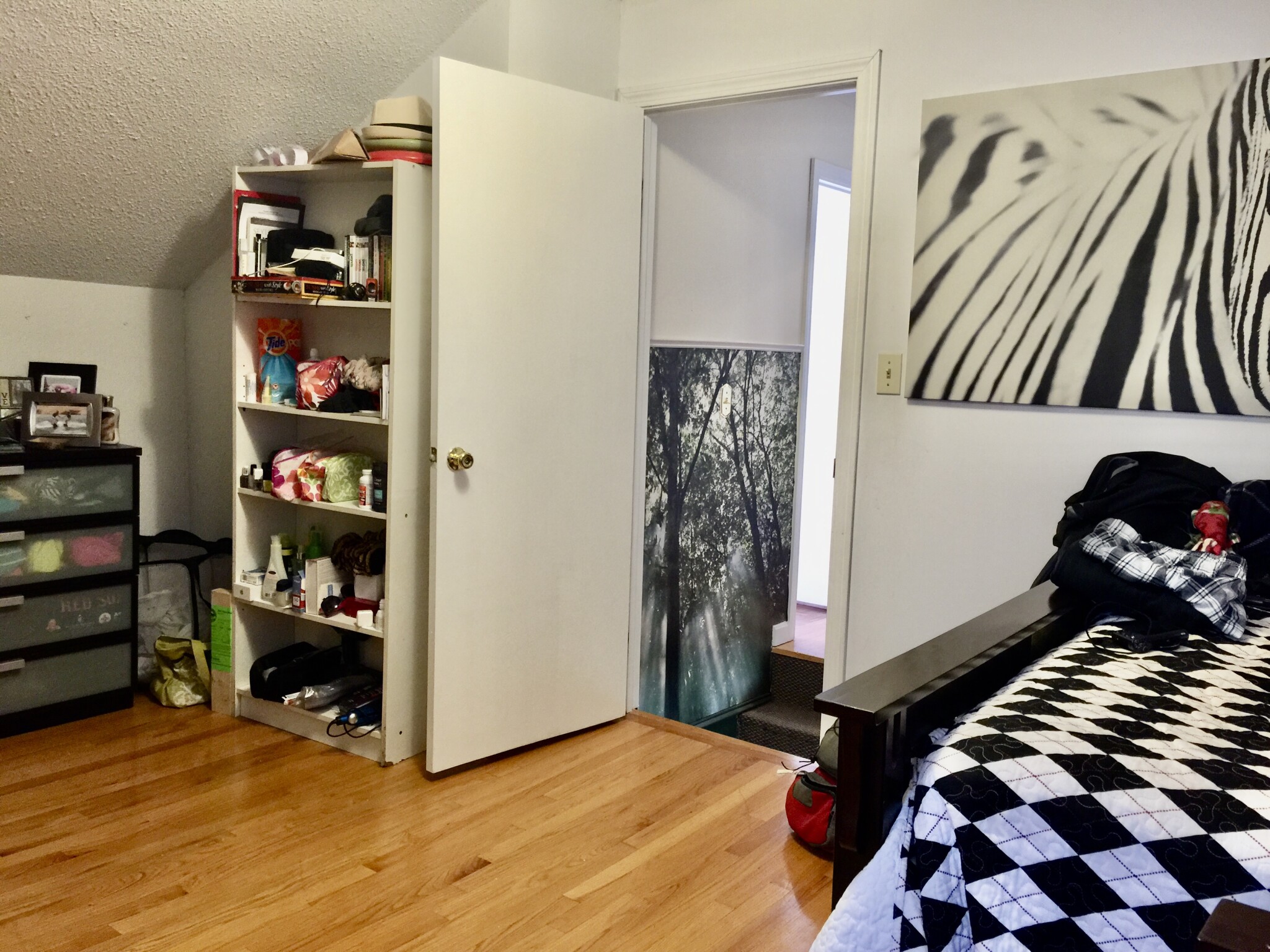 72 Dane St, Inman Square