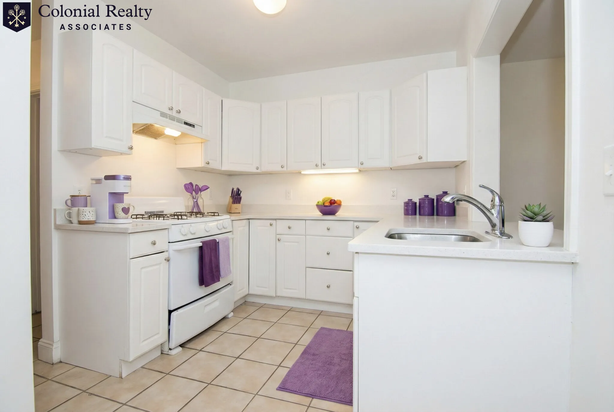 62 Egmont St, North Brookline