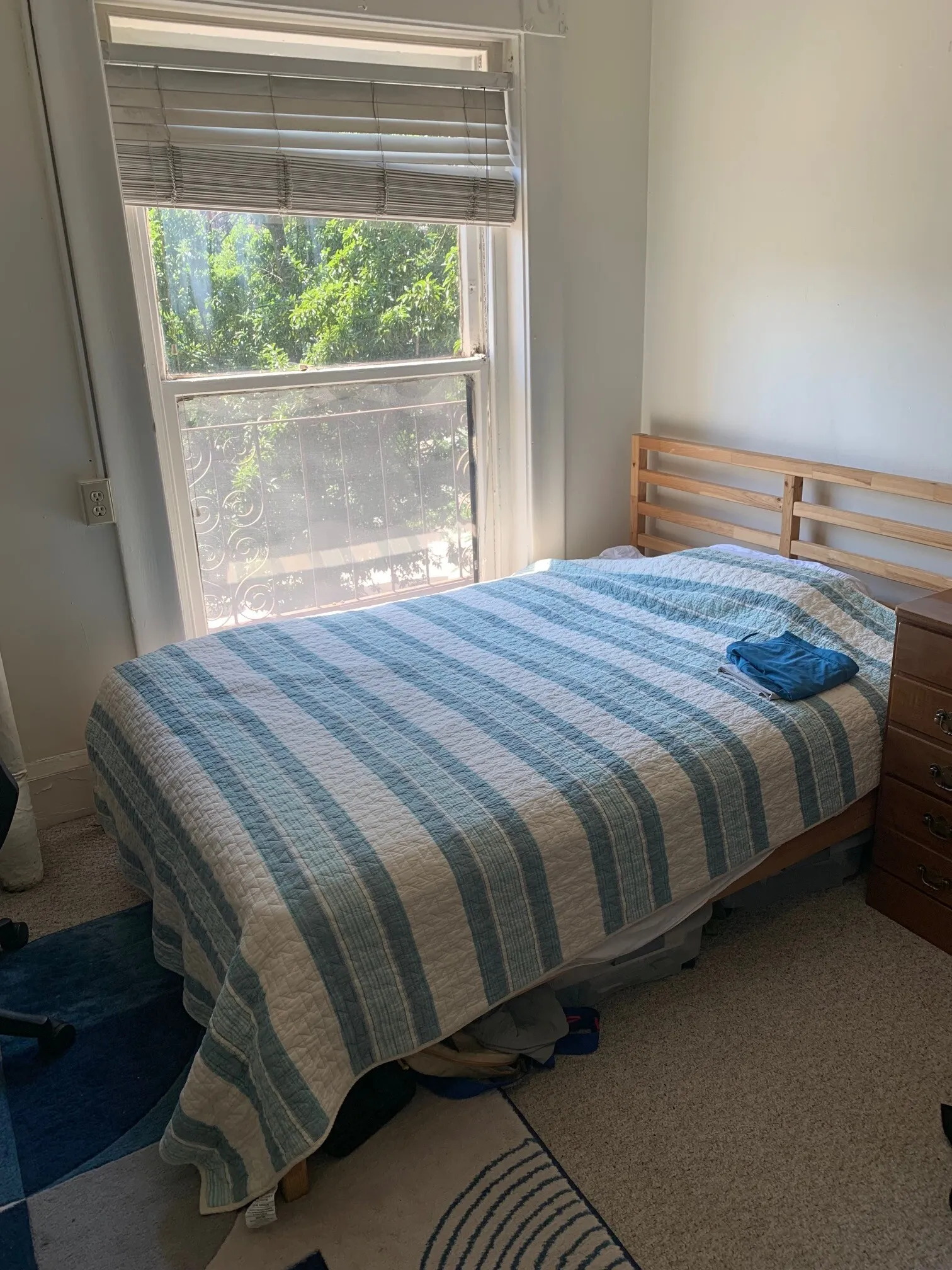 15 Bay State Rd, Fenway