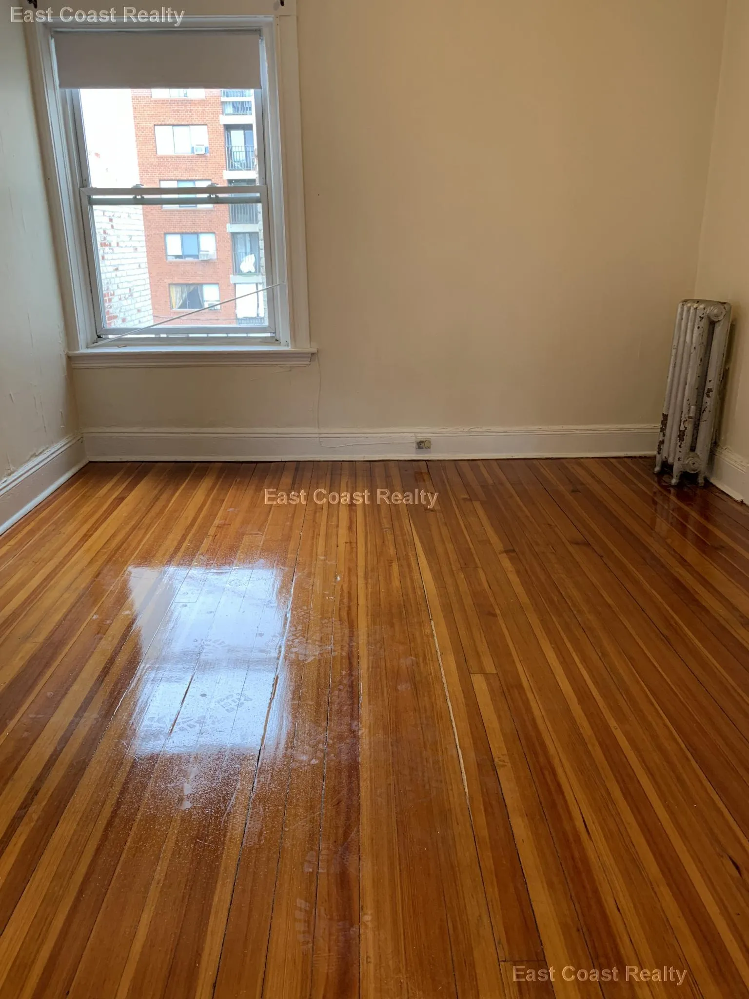 7 Mount Hood Rd, Brighton