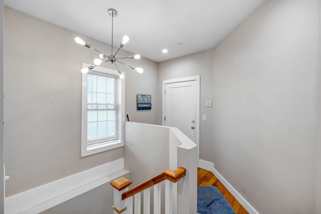 8 W Bellflower St, Dorchester