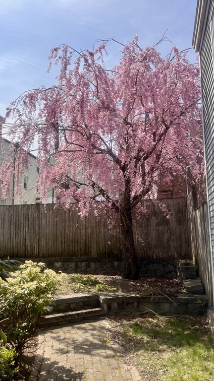 108 Gore St, East Cambridge