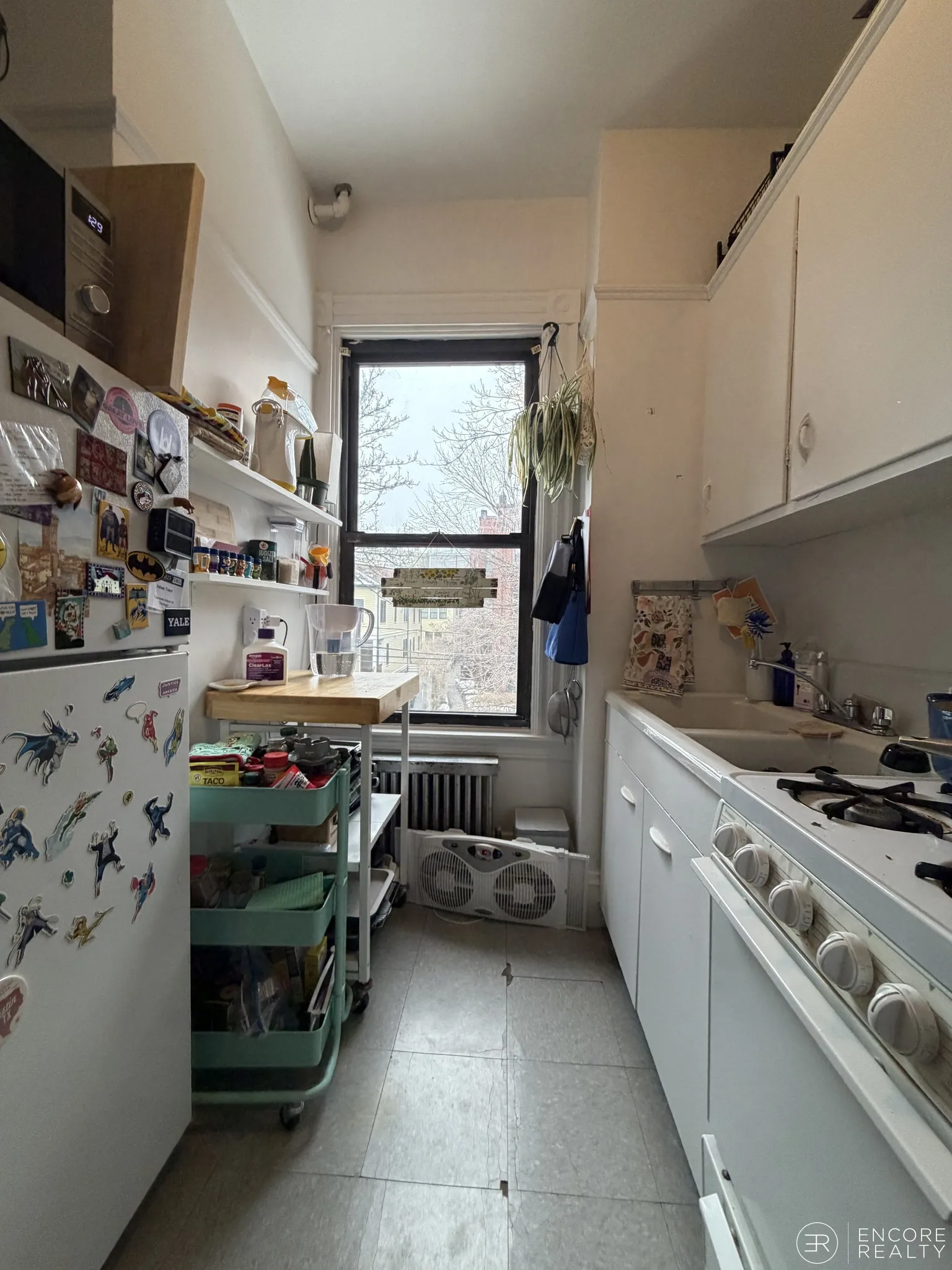 16 Davis Ave, Emerson Gardens