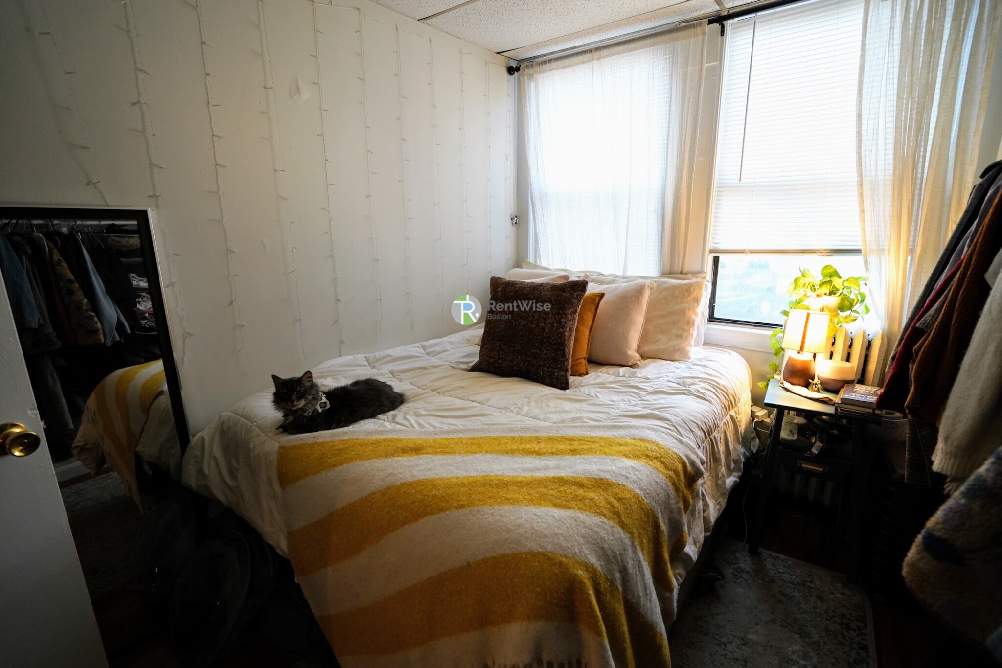 50 Park Vale Ave, Allston