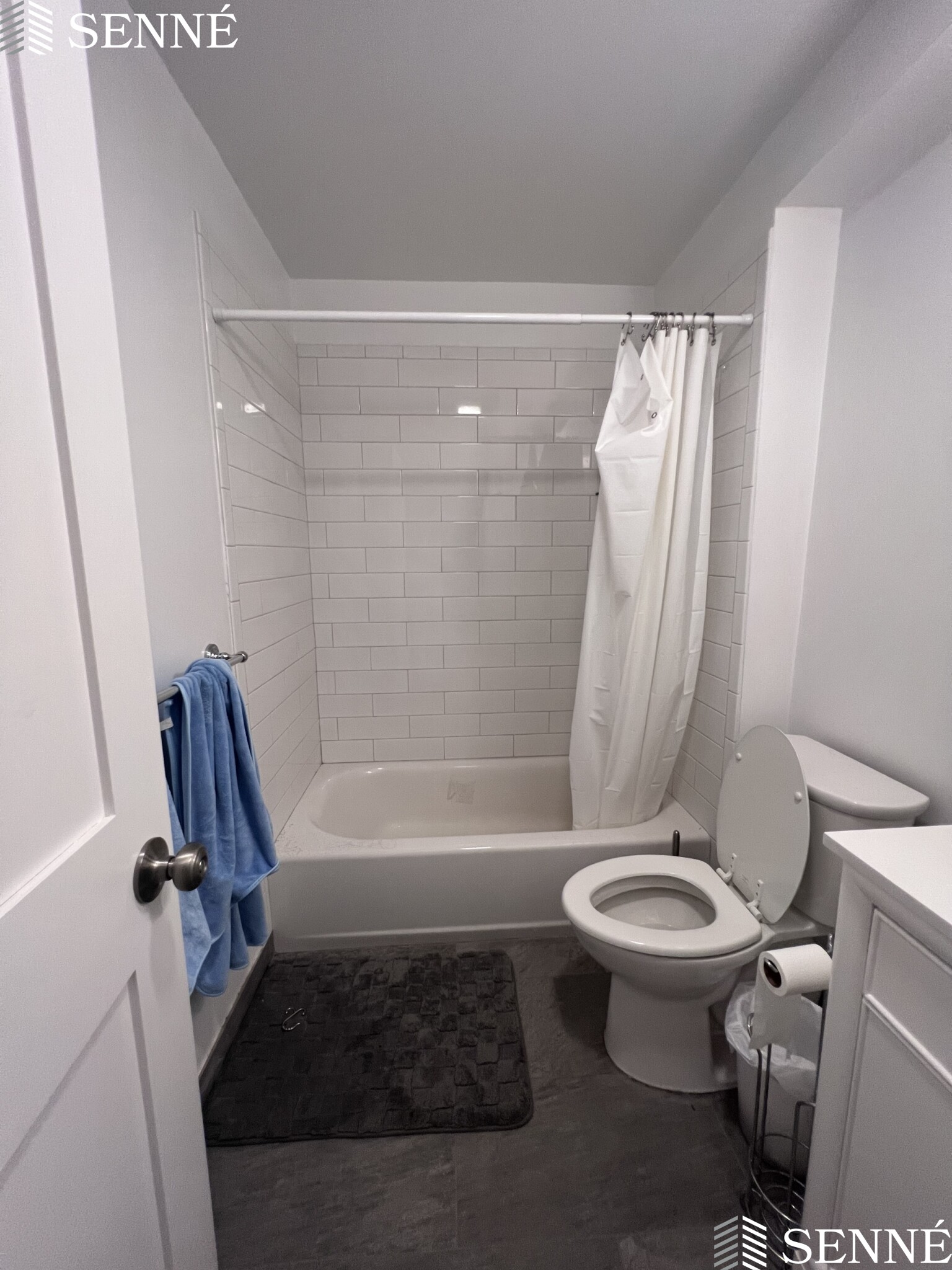 3 Linnaean St, Neighborhood Nine