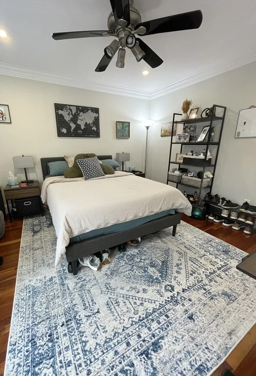 10 Mitchell St, South Boston