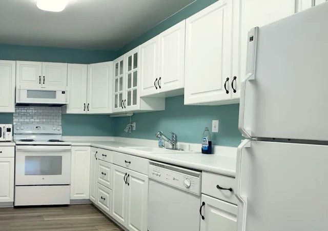 2 Hammond Pond Pkwa, Chestnut Hill