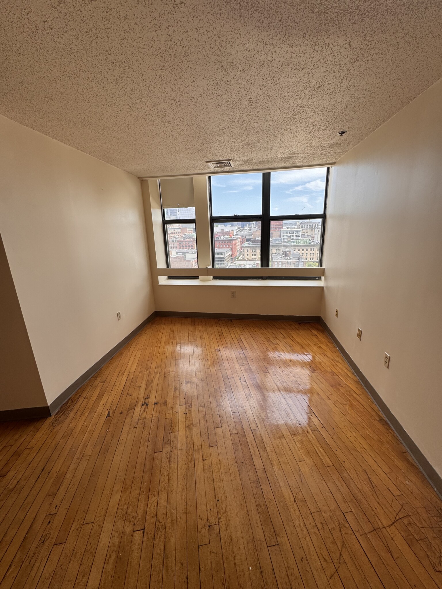 65 Harrison Ave, Chinatown