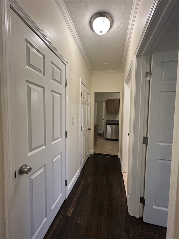 435 Walnut Ave, Roxbury