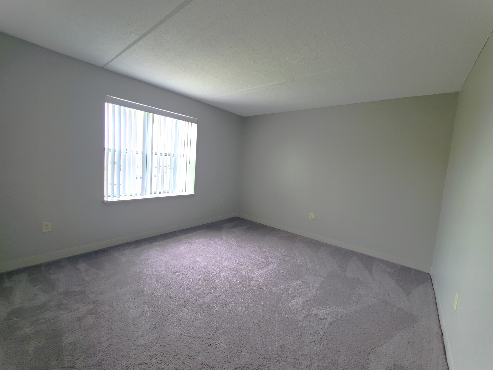 1 South Point Dr, Dorchester