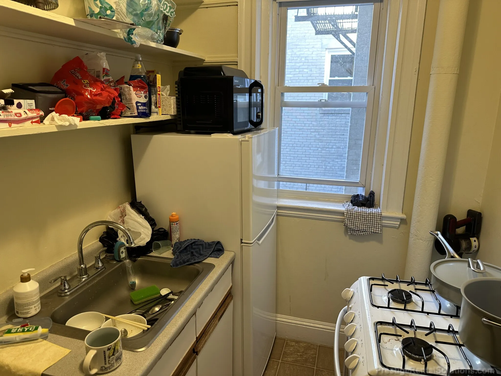 221 Kelton St, Brighton