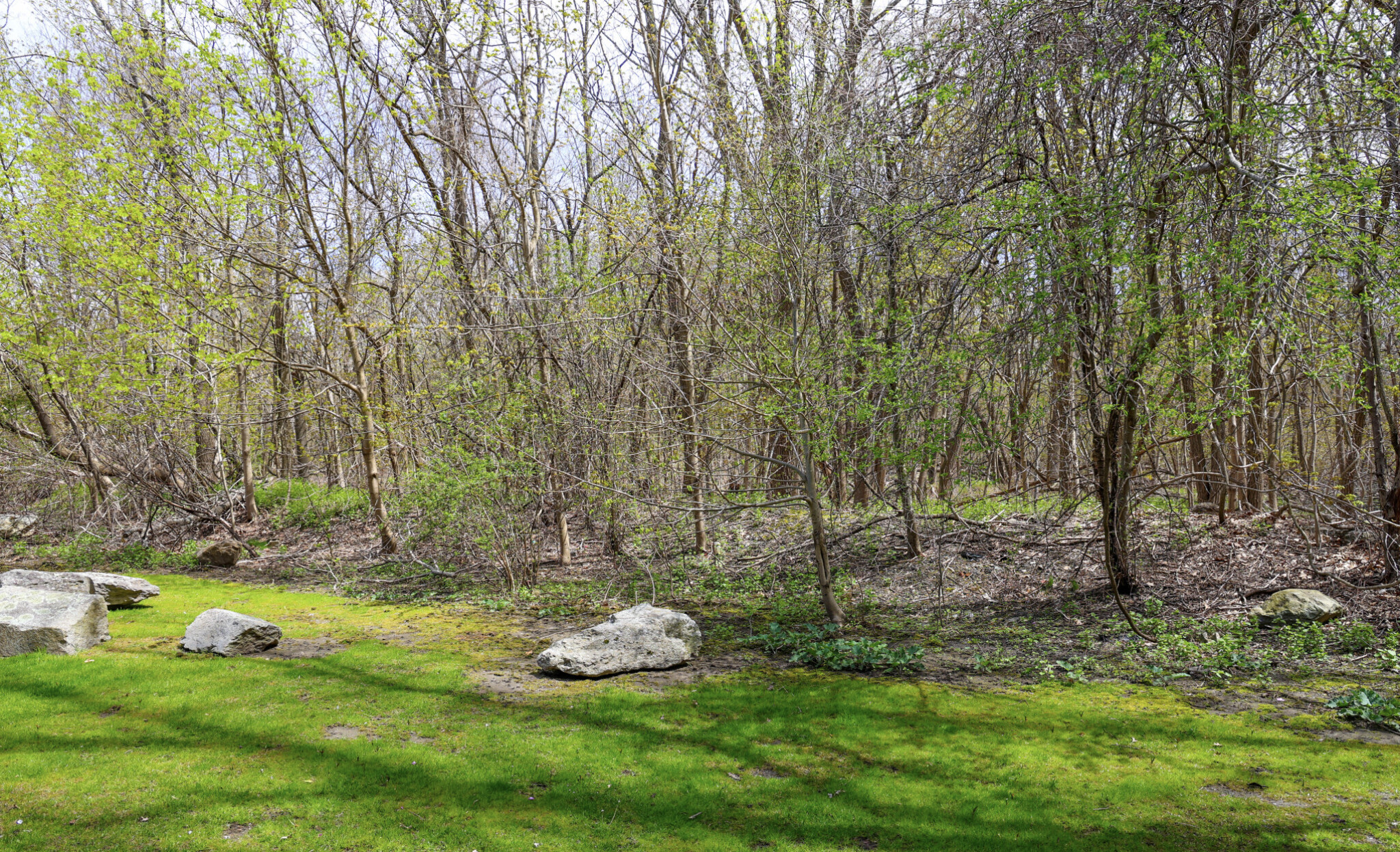 31 Westgate Rd, Chestnut Hill